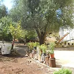 Conte In Salento Kır Evi