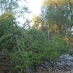 Kır Evi Conte In Salento *