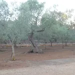 Kır Evi Conte In Salento