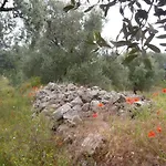 Conte In Salento *