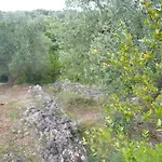Conte In Salento Kır Evi Francavilla Fontana