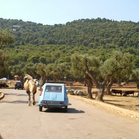 Conte In Salento 프란카빌라 폰타나