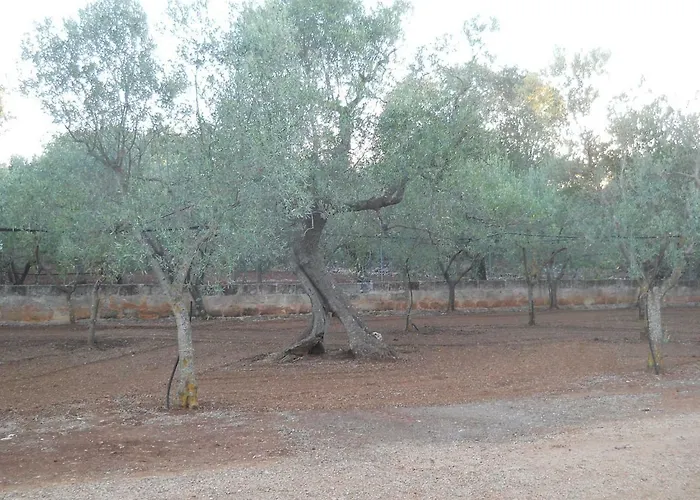 컨트리하우스 Conte In Salento