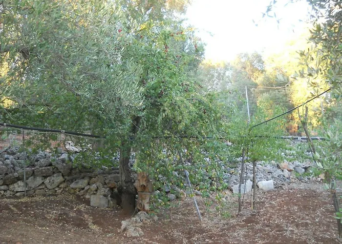 Conte In Salento
