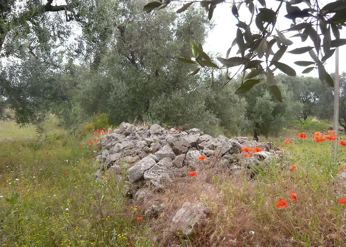 Conte In Salento *