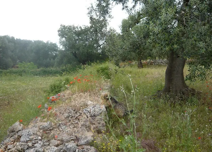 Conte In Salento 컨트리하우스 *