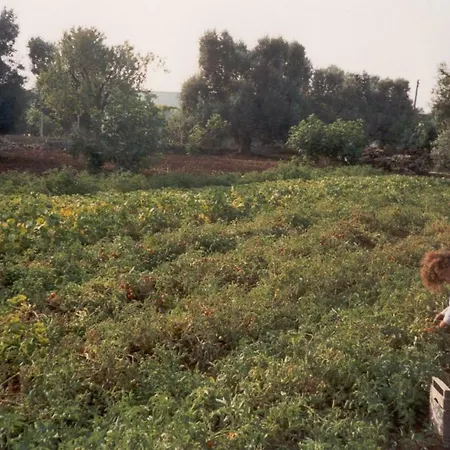 Conte In Salento Country house Francavilla Fontana