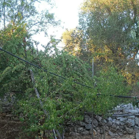 Country house Conte In Salento *