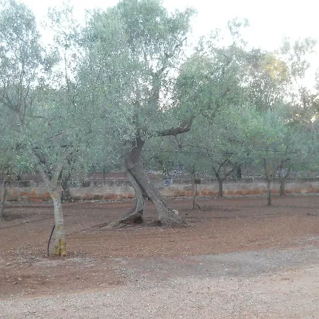 Country house Conte In Salento