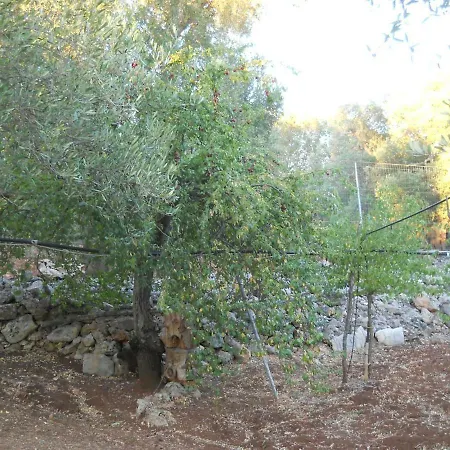 Conte In Salento