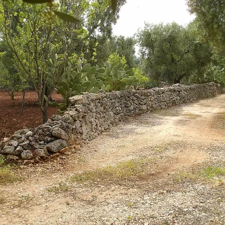 Country house Conte In Salento