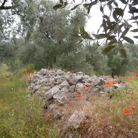 Conte In Salento *