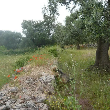 Conte In Salento Country house *
