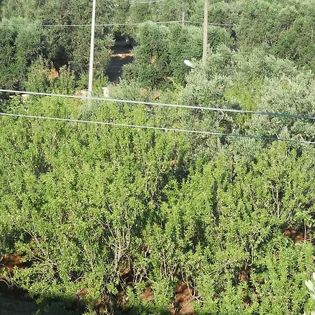 Conte In Salento * פרנקווילה פונטנה