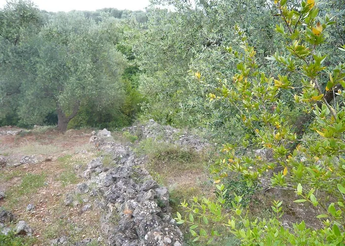 Conte In Salento Kır Evi Francavilla Fontana